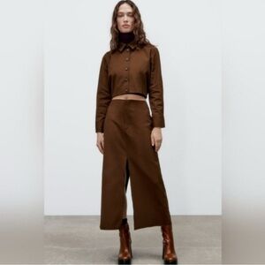 Zara Brown A-Line Skirt